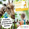 Animal Flash Cards for Toddlers & Kids – Animal ABC Flashcards – Animal Alphabet – 101 Toddler Flashcards – Preschool Flash Card for Kids – Farm, Sea, Jungle, Forest & Birds – Ages 2 3 4 and 5