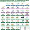Dinosaur Flash Cards for Kids – Learn Dinosaurs Game, Fun Facts & Stats – 46 Unique Flashcards – Age 4, 5, 6, 7, 8, 9, 10 Years