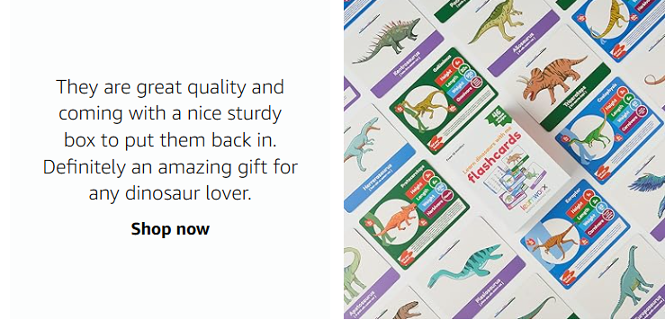 LearnWorx 101 Toddler Flashcards (Suitable for 1-3 year olds) | Award-winning early learning vocabulary flashcards | Educational toy to help children learn objects, numbers, and play games – Large-sized toddler learning flashcards for preschoolers